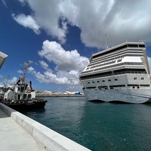 Meet your Posher, Jake